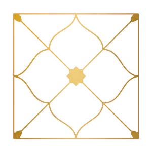 kundli chart icon
